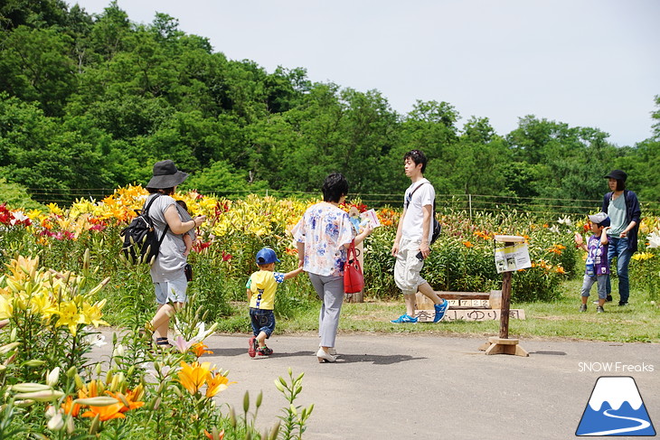 オーンズ春香山ゆり園 今年も綺麗な『ゆり』のシーズン到来♪